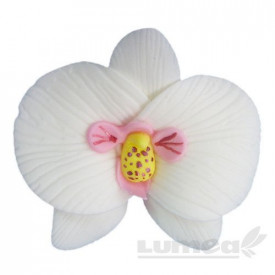 Orhidee moth alb din pasta de zahar, L5,5 cm x l 6 cm x h3 cm, 16 buc, 360g - Lumea