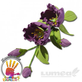 Лилав букет от захарна паста на Eustoma - The World