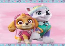 Снимка на захарна торта "Paw Patrol", Скай и Еверест - Светът
