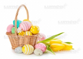 Imagine comestibila tort din Zahar Buchet de Pasti cu Lalele galbene - Lumea