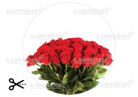 Imagine comestibila tort din Zahar Buchet de Trandafiri - Lumea - Img 3