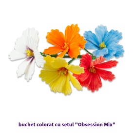 Set Colorant alimentar pudra Obsession Mix - Lumea - Img 4