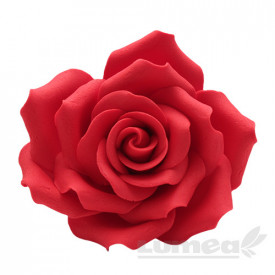 Trandafir urias rosu din pasta de zahar - Lumea
