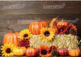 Vafa tort Halloween model 8 - Lumea - Img 1