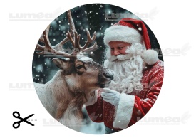 Vafa tort Mos Craciun cu Rudolf - Lumea - Img 3
