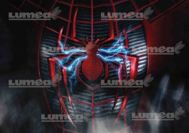Vafa tort Spiderman model 1 - Lumea - Img 1