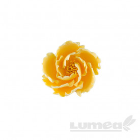 Малък жълт божур от захарна паста - The World