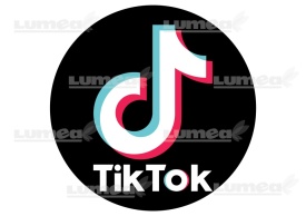 Снимка на ядлива торта от захарна глазура "TikTok" с кръгло лого - Светът