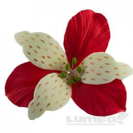 Alstroemeria Visiniu din pasta de zahar, L13 cm x l 13 cm x h8 cm, 40g - Lumea