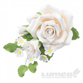 Buchet trandafir mare alb din pasta de zahar - Lumea