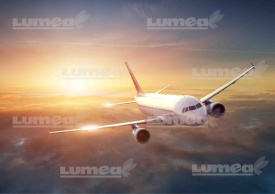 Imagine comestibila tort din Zahar, Avion - Lumea - Img 1