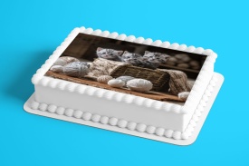 Imagine comestibila tort din Zahar Pisici mici in cos - Lumea - Img 2