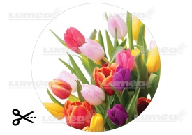 Едрият образ на захарната торта Tulip bouquet - The World - Img 3