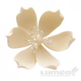 Clematis alb din pasta de zahar - Lumea