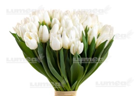 Imagine comestibila tort din Zahar Buchet de Lalele Alb - Lumea