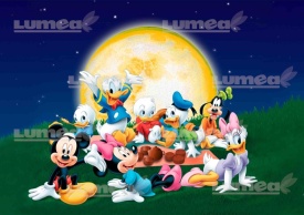 Imagine comestibila tort din Zahar Mickey si Prietenii lui pe camp la seara - Lumea