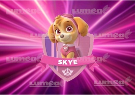 Imagine comestibila tort din Zahar, Paw Patrol Skye - Lumea - Img 1
