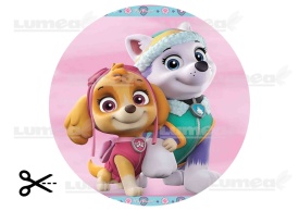 Imagine comestibila tort din Zahar, Paw Patrol, Skye si Everest - Lumea - Img 3