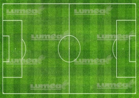 Imagine comestibila tort din Zahar Teren de Fotbal - Lumea