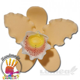 Orhideea cattleya XL culoarea piersica din pasta de zahar, L11 cm x l 8 cm x h5 cm, 30g - Lumea