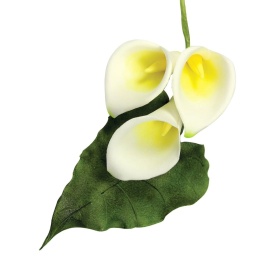 Set decupatoare Crin Arum si Frunza, 2 buc. - JEM - Img 2