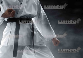 Vafa tort Karate - Lumea