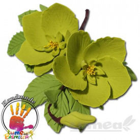 Buchet spanz verde din pasta de zahar - Lumea