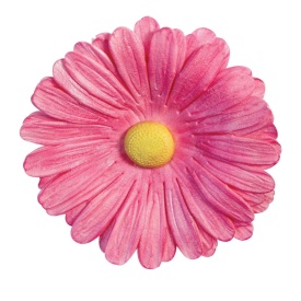 Cutter Margareta Gerbera - JEM - Img 2