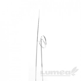 Iarba ursului alb, 50 buc. - Lumea - Img 1