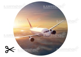 Imagine comestibila tort din Zahar, Avion - Lumea - Img 3