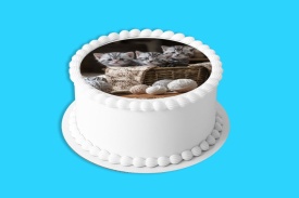 Imagine comestibila tort din Zahar Pisici mici in cos - Lumea - Img 4