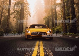 Vafa tort Mercedes-Benz AMG galben - Lumea