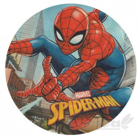 Vafa tort Spider-Man - Lumea Basmelor