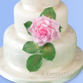 Комплект резачки за рози grandiflora, 10 части - Patchwork - Img 3
