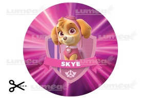 Снимка на годна за консумация торта от захарна торта на Skye от Paw Patrol - Светът - Img 3