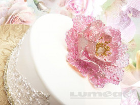 3D силиконов калъп за дантела с божур - Crystal Lace - Img 2