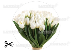 Imagine comestibila tort din Zahar, Buchet de Lalea model 2 - Lumea - Img 3