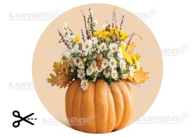 Imagine comestibila tort din Zahar Buchet de Toamna in Bostan - Lumea - Img 3