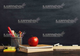 Imagine comestibila tort din Zahar Catedra profesorala - Lumea