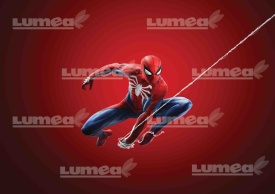 Imagine comestibila tort din Zahar, Spiderman model 6 - Lumea - Img 1