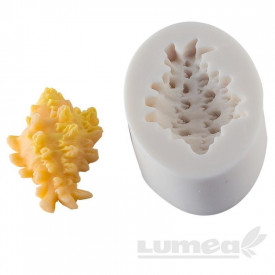 Mulaj silicon scoica - Lumea