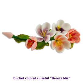 Комплект прах за оцветяване на храни Breeze Mix - World - Img 4