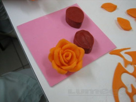 Силиконово формоване на листа и венчелистчета - The World - Img 5