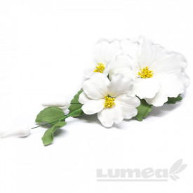 Buchet Camelia alb din pasta de zahar - Lumea