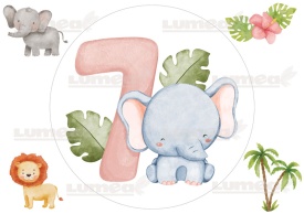 Imagine comestibila tort din Zahar, aniversara cu Animale "1-9" - Lumea - Img 7