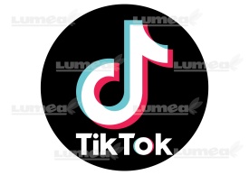Vafa tort "TikTok" logo rotunda - Lumea