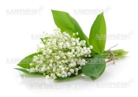 Едрият образ Едрият букет от захарни торти Tangerine Bouquet - The World