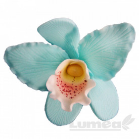 Орхидея Cattleya XL blue в захарна паста - Светът