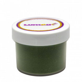 Хранителен оцветител на прах Musk Green, 2g - Светът - Img 3