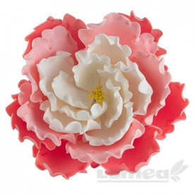 Bujor roz cu alb gheorghian din pasta de zahar, L12 cm x l 12 cm x h6 cm, 100g - Lumea